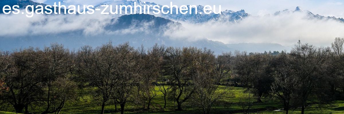 es.gasthaus-zumhirschen.eu
